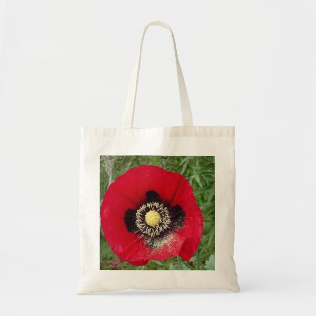 Poppy in red tote bag (Front)