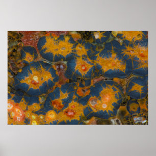 Poppy Jasper Poster