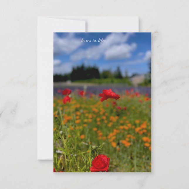 Poppy & Lavender Field Card (Front)