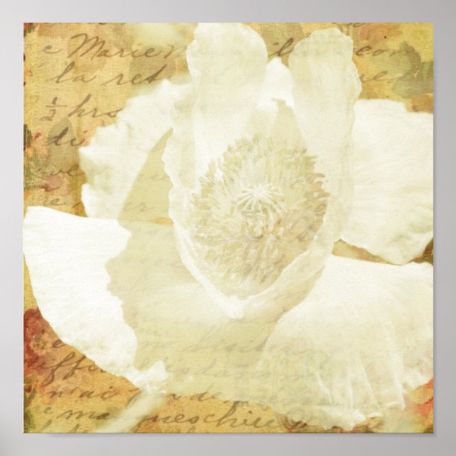 Poppy Marie Poster (Front)