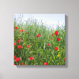 Poppy Meadow Canvas Print