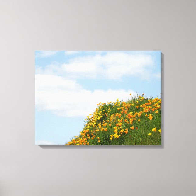Poppy Meadow Hillside art prints Blue Sky Clouds (Front)