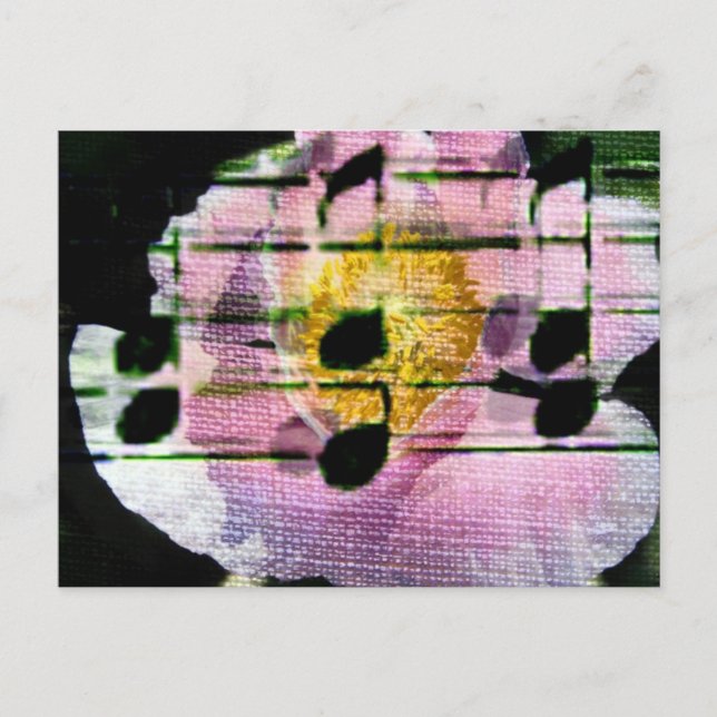 Poppy Music Postcard (Front)