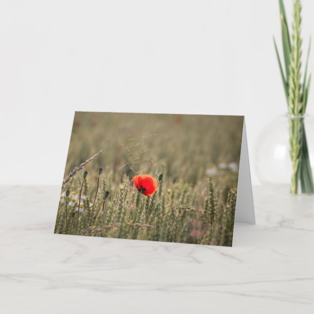 Poppy Nature Photo Card (Front)
