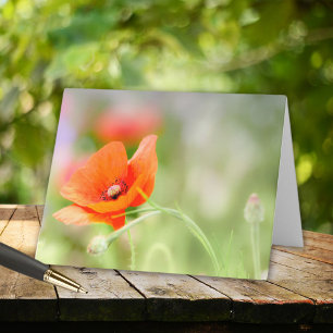 Poppy note card