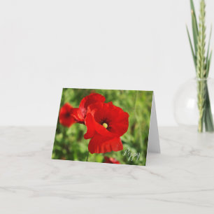 Poppy Note Card