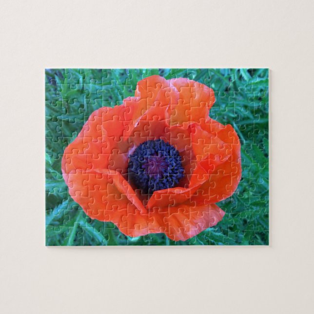 POPPY Oriental Red Orange --- Jigsaw Puzzle (Horizontal)