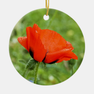 Poppy Ornament