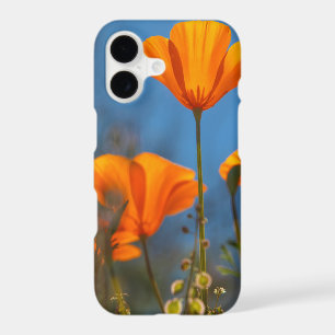 poppy power