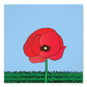 Poppy print