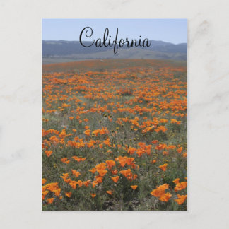 Poppy Reserve Postcard