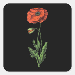 Poppy Square Sticker