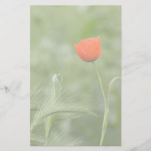 Poppy Stationery