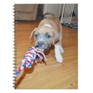 Poppy The Playful Pitty Tug Of War, Notebook