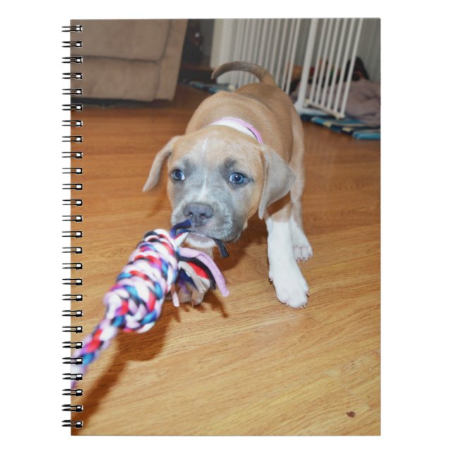 Poppy The Playful Pitty Tug Of War, Notebook (Front)