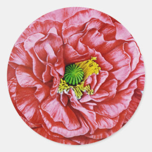 Poppy Vintage Seed Packet Classic Round Sticker