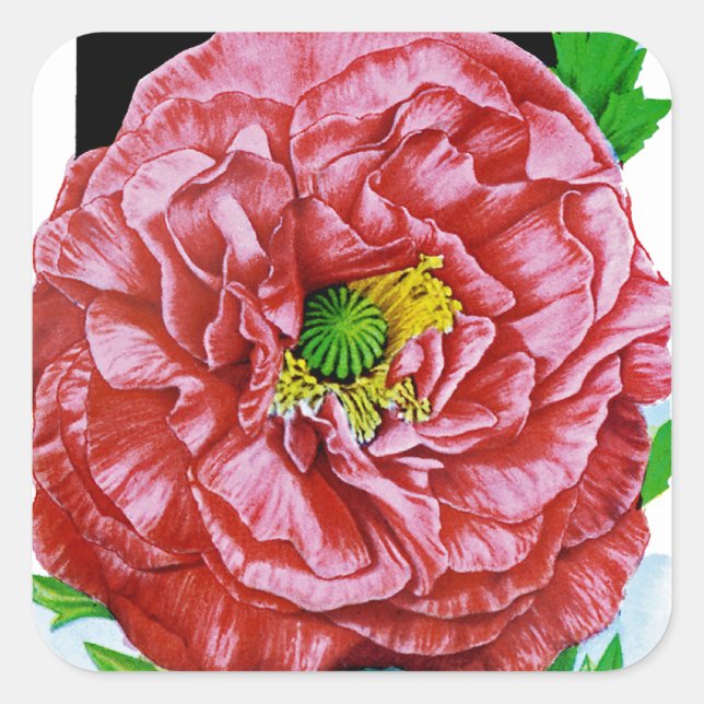 Poppy Vintage Seed Packet Square Sticker (Front)