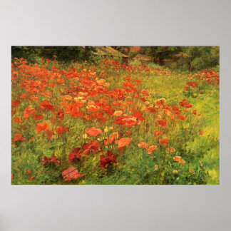 Poppyland Poster