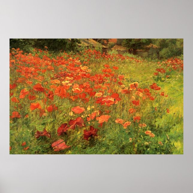 Poppyland Poster (Front)