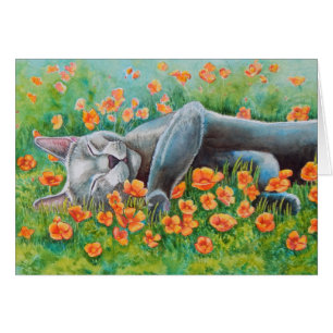 Poppy's Poppies