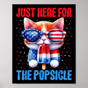 Popsicle 4th Of July Cat Usa American Flag Patriot Poster