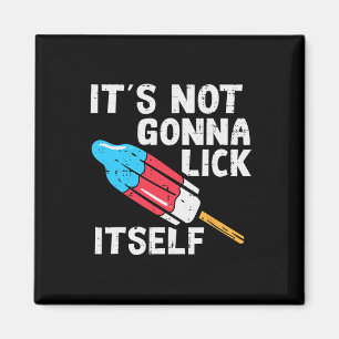 Popsicle Not Gonna Lick Itself Funny 4th July Patr Magnet