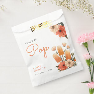 Popsicle Ready to Pop Baby Shower Favour Bags