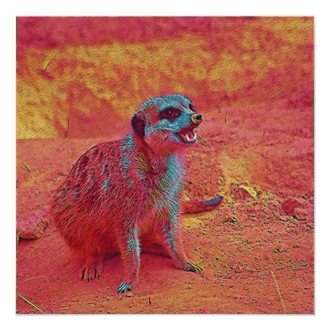 popular Animals - Meerkat Poster (Front)