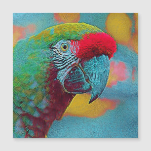 popular Animals - Parrot