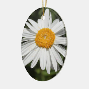popular flower, pretty wild white daisy photograph ceramic tree decoration