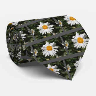 popular flower, pretty wild white daisy photograph tie