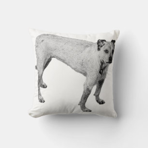 Porch Light Companion Cushion