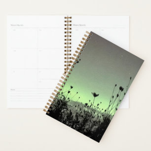 Porch View / Weeds / Planner