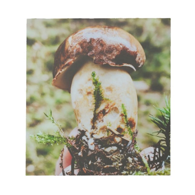 Porcini Mushroom in Swedish Forest  Notepad (Front)