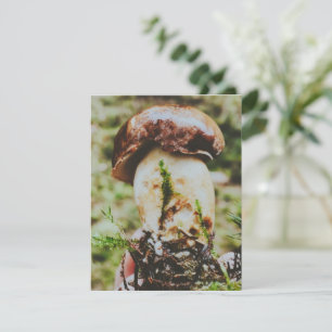 Porcini Mushroom in Swedish Forest  RSVP Card