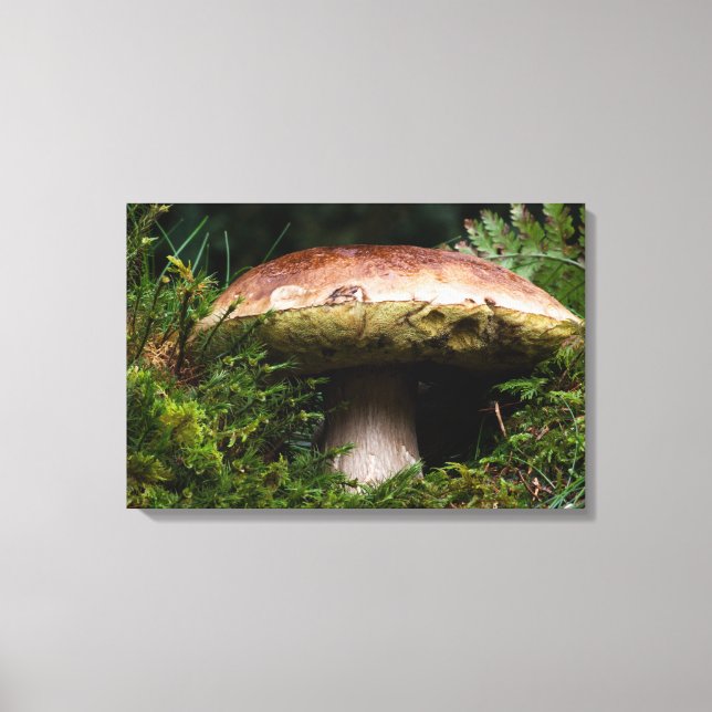 Porcino mushroom canvas print (Front)