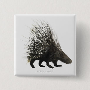 Porcupine 15 Cm Square Badge