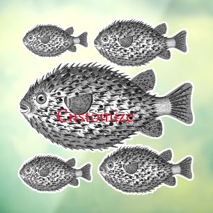 Porcupine blowfish Thunder_Cove 