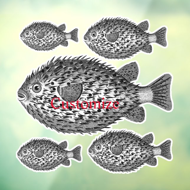 Porcupine blowfish Thunder_Cove  (Sheet 3)