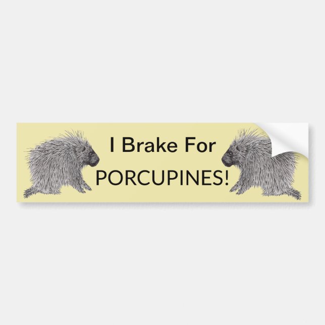 Porcupine Bumper Sticker (Front)