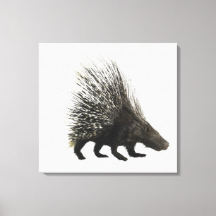 Porcupine Canvas Print