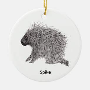 Porcupine Ceramic Tree Decoration