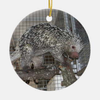 Porcupine Ceramic Tree Decoration