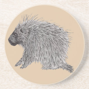Porcupine Coaster