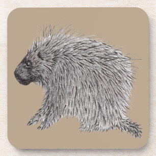 Porcupine Coaster