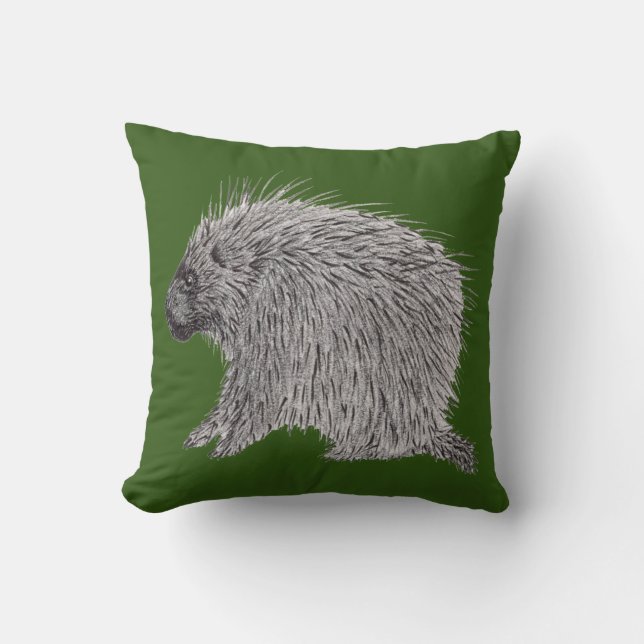 Porcupine Cushion (Front)