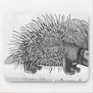 Porcupine, from 'Historia Animalium' Mouse Pad