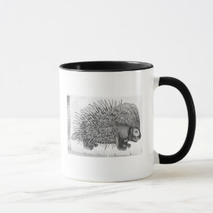 Porcupine, from 'Historia Animalium' Mug
