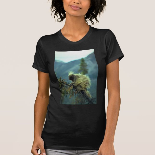 Porcupine in a spruce tree, NWT, Canada T-Shirt (Front)