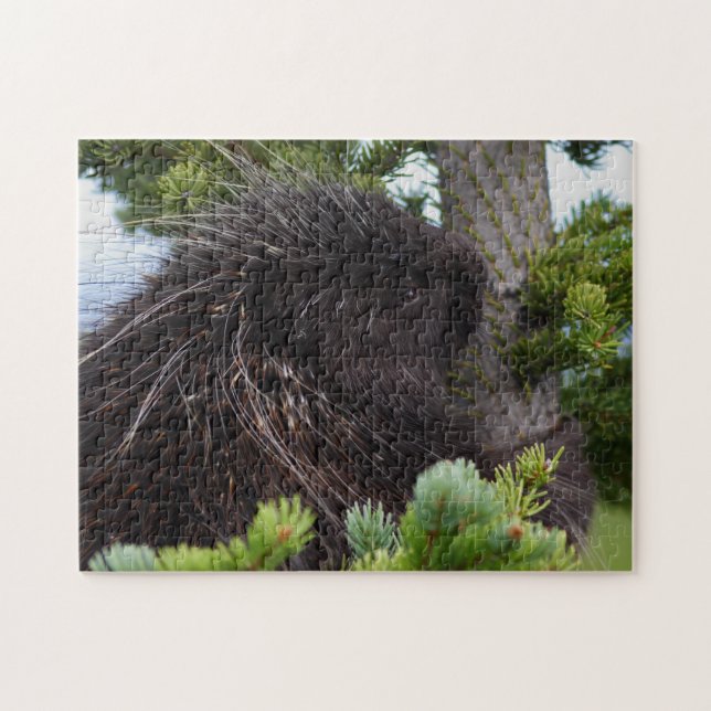 Porcupine Jigsaw Puzzle (Horizontal)